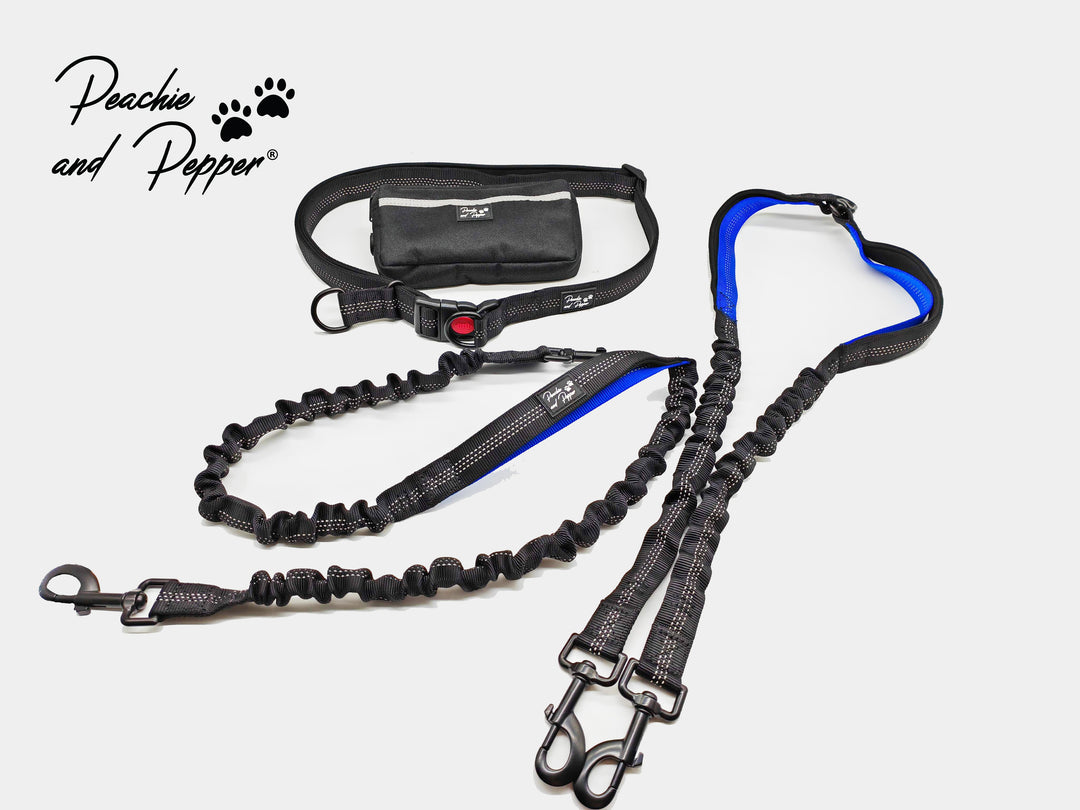 Leashes by Peachie and Pepper